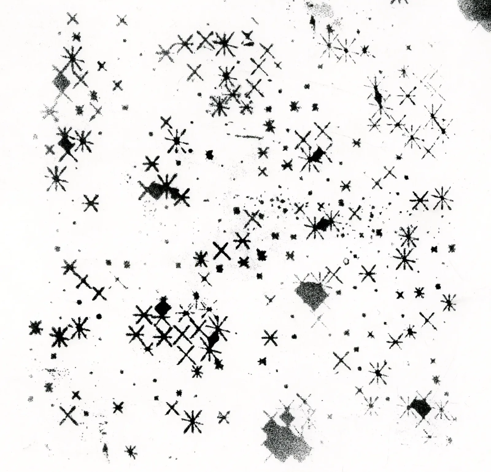 SVG Generator
